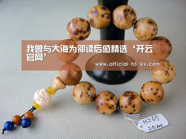 开云官方平台