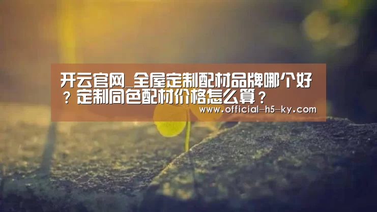 开云官网_全屋定制配材品牌哪个好?定制同色配材价格怎么算?(图1) 开云官网
